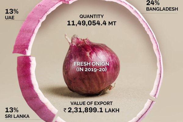 Kraken onion darknet zerkalo