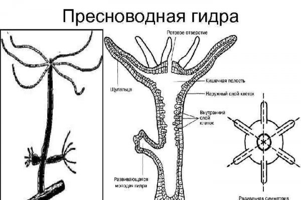 Kraken маркетплейс зеркала